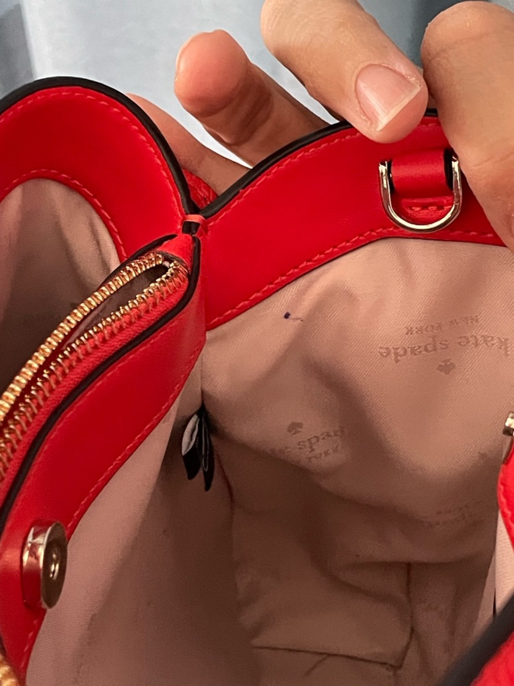 Kate Spade Small Dumpling Crossbody Satchel Bag in Tomato Slice Red - Picture 11 of 15